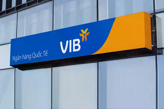 Tân phó tổng giám đốc VIB là ai?