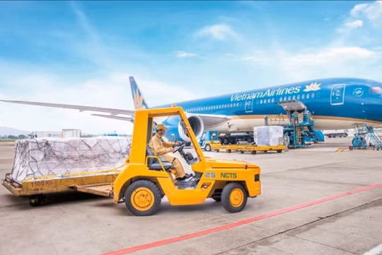 Doanh nghiệp hàng không ở Hà Nội miễn nhiệm Tổng Giám đốc