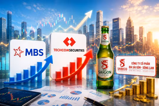 Hé lộ lợi nhuận quý II: Chứng khoán MBS, TCBS và công ty con của Sabeco lãi lớn