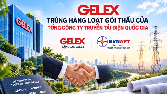 Gelex trúng hàng loạt gói thầu của Tổng Công ty truyền tải điện quốc gia