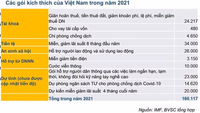 BVSC: Việt Nam vẫn còn dư địa cho các gói kích thích kinh tế lớn ảnh 1 BVSC: Việt Nam vẫn còn dư địa cho các gói kích thích kinh tế lớn ảnh 1