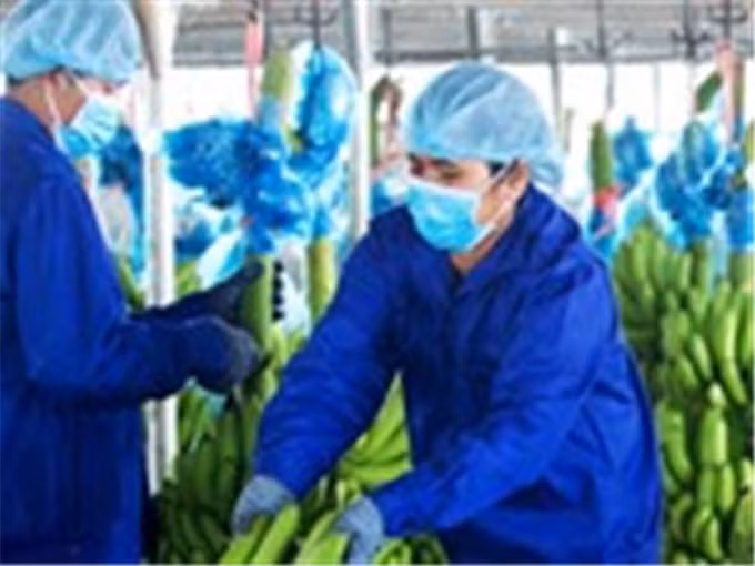 “Bầu” Đức đăng ký mua 50 triệu cổ phiếu HAG ảnh 1 “Bầu” Đức đăng ký mua 50 triệu cổ phiếu HAG ảnh 1