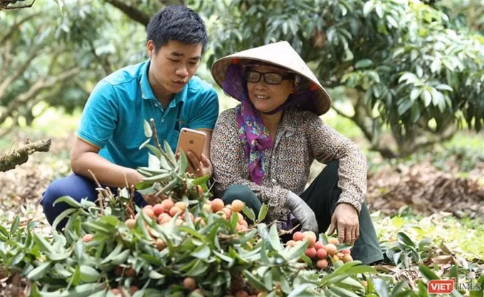 Hàng Việt "lép vế" trên sàn thương mại điện tử ảnh 1 Hàng Việt "lép vế" trên sàn thương mại điện tử ảnh 1