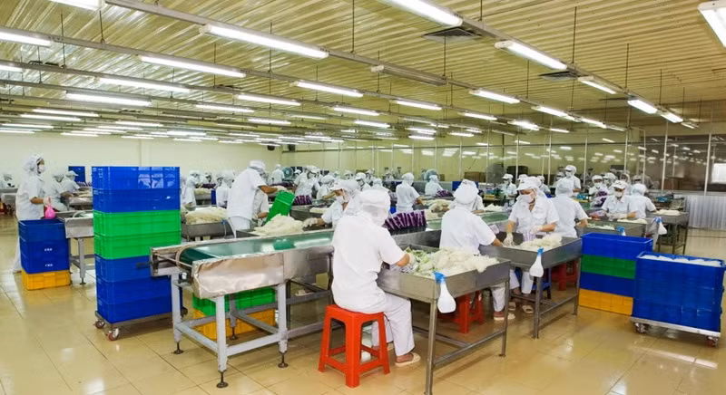 Doanh nghiệp sản xuất “gồng mình” để bình ổn giá ảnh 1 Doanh nghiệp sản xuất “gồng mình” để bình ổn giá ảnh 1