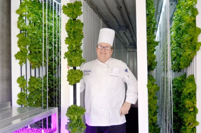 'Nông dân kiểu mới' có thể trồng được 4 tấn nông sản/năm mà không cần ánh sáng mặt trời - Ảnh 1