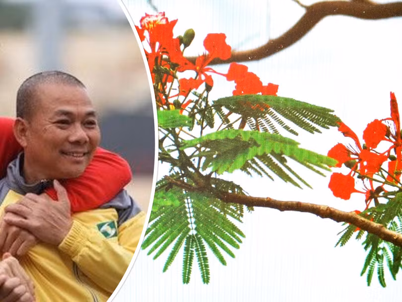 Ông Phạm Anh Tuấn được bổ nhiệm làm HLV trưởng Hải Phòng. Ảnh AT