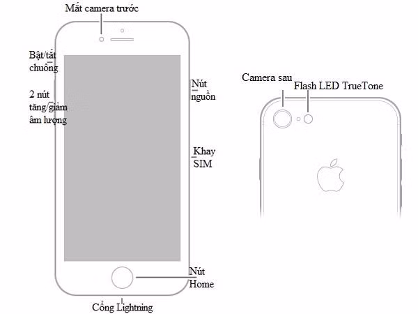 Hướng dẫn sử dụng iPhone 8, iPhone 8 Plus toàn tập - Ảnh 1
