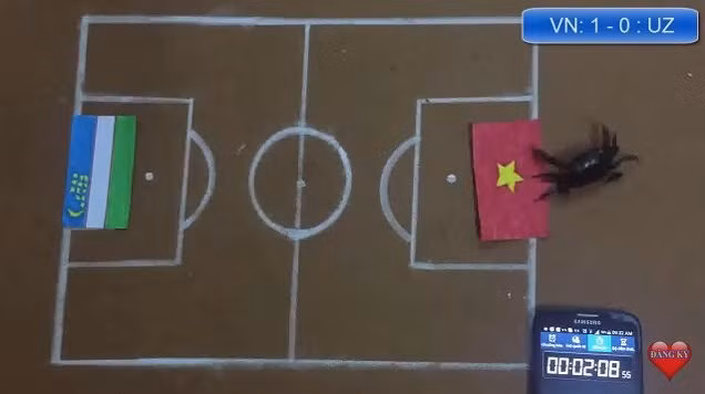 Dân mạng nhờ mèo, gà, cào cào dự đoán trận chung kết của U23 Việt Nam - Ảnh 6