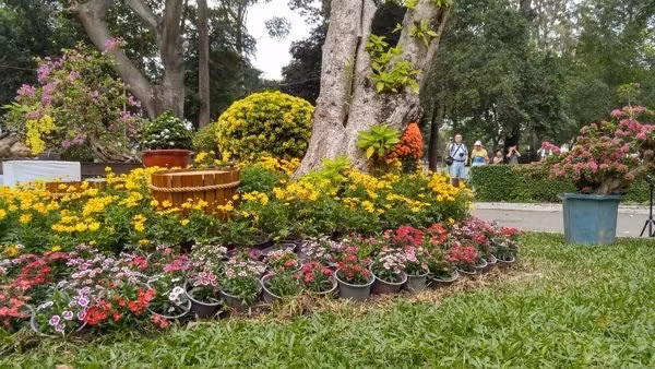 8 địa điểm chụp ảnh Xuân đẹp ở Sài Gòn - Ảnh 2